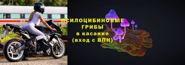СК Алзамай