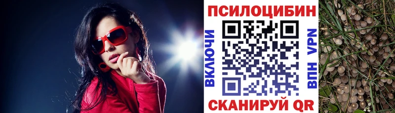Псилоцибиновые грибы прущие грибы  shop официальный сайт  Егорьевск 